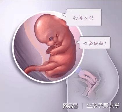 包生男孩咨询